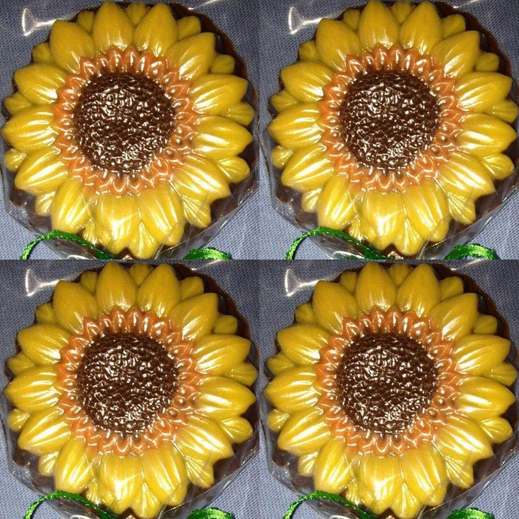 Chocolate Sunflower Suckers